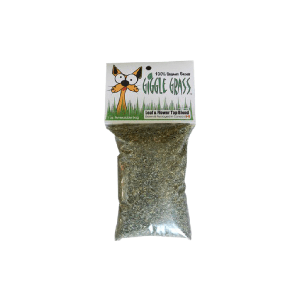 Giggle Grass Catnip 1 oz - PetToba-Giggle Grass