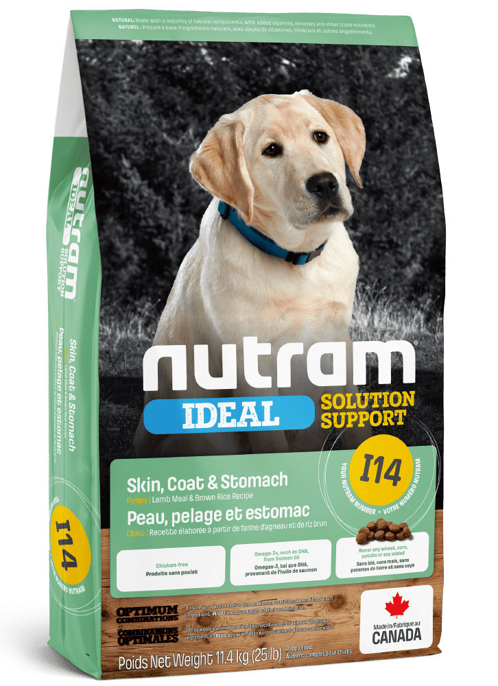 Dog food specials best sale