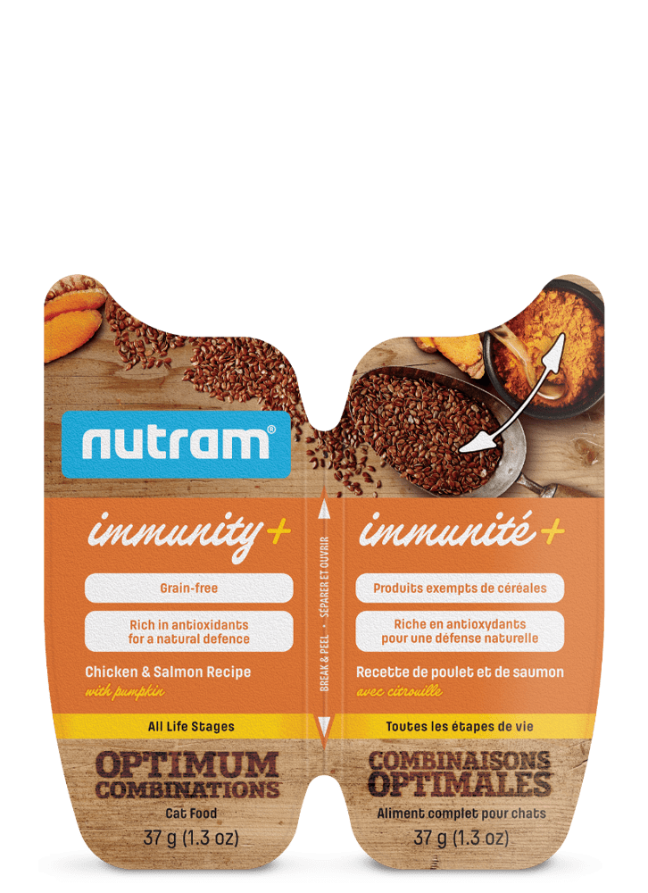 Immunity+ Cat Treats Chicken & Salmon Recipe with Pumpkin - Wet Cat Food - Nutram - PetToba-Nutram