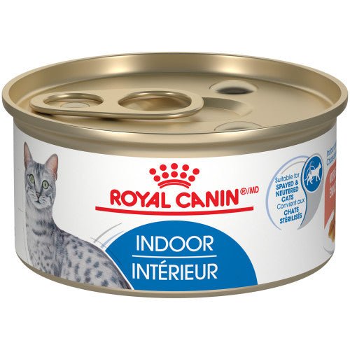Indoor Adult Morsels in Gravy Canned - Wet Cat Food - Royal Canin