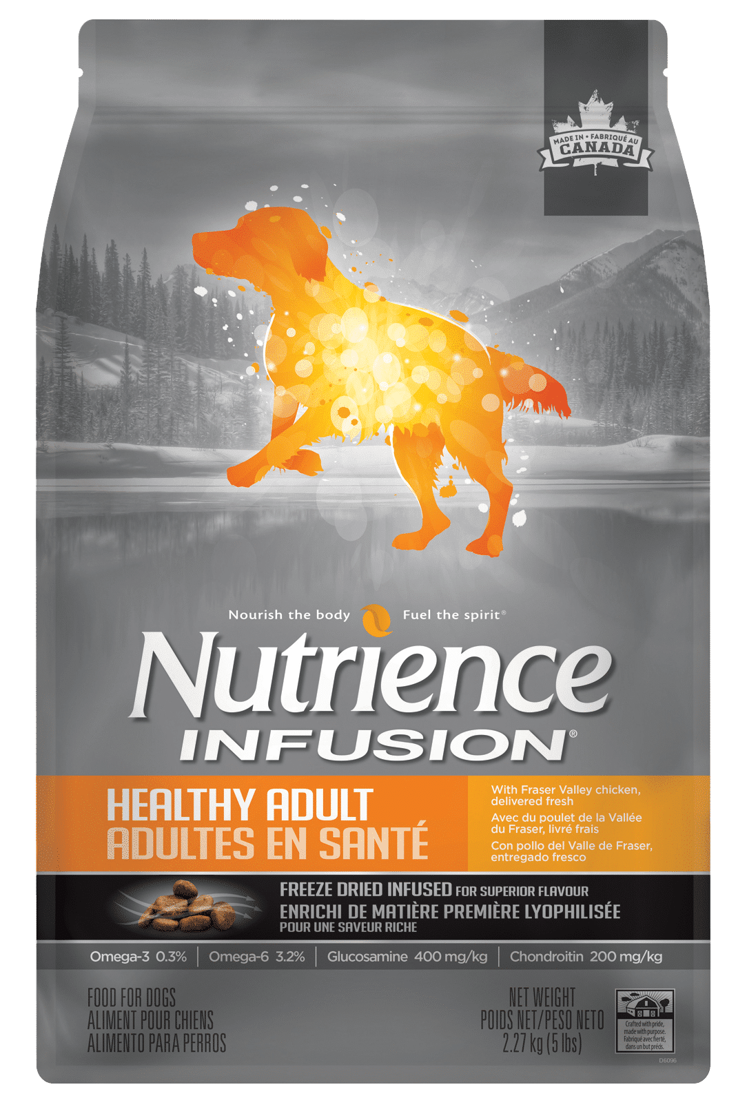 Infusion Healthy Adult Chicken Recipe - Dry Dog Food - Nutrience - PetToba-Nutrience
