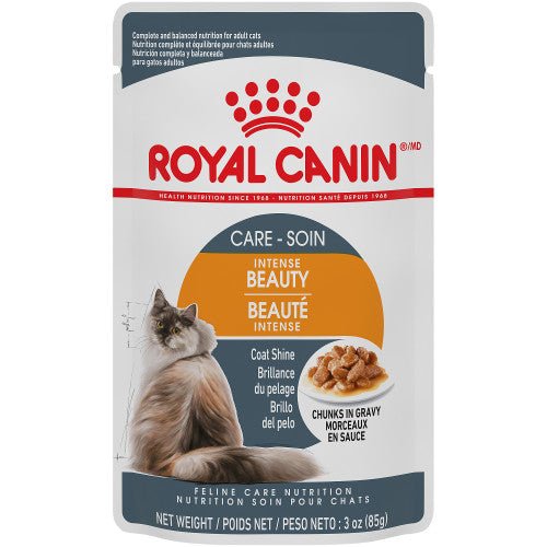 Intense Beauty Chunks in Gravy Pouch - Wet Cat Food - Royal Canin - PetToba-Royal Canin