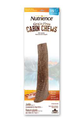 Jumbo Elk Antler – Natural Dog Treat - Dog Chew - Nutrience - PetToba-Nutrience