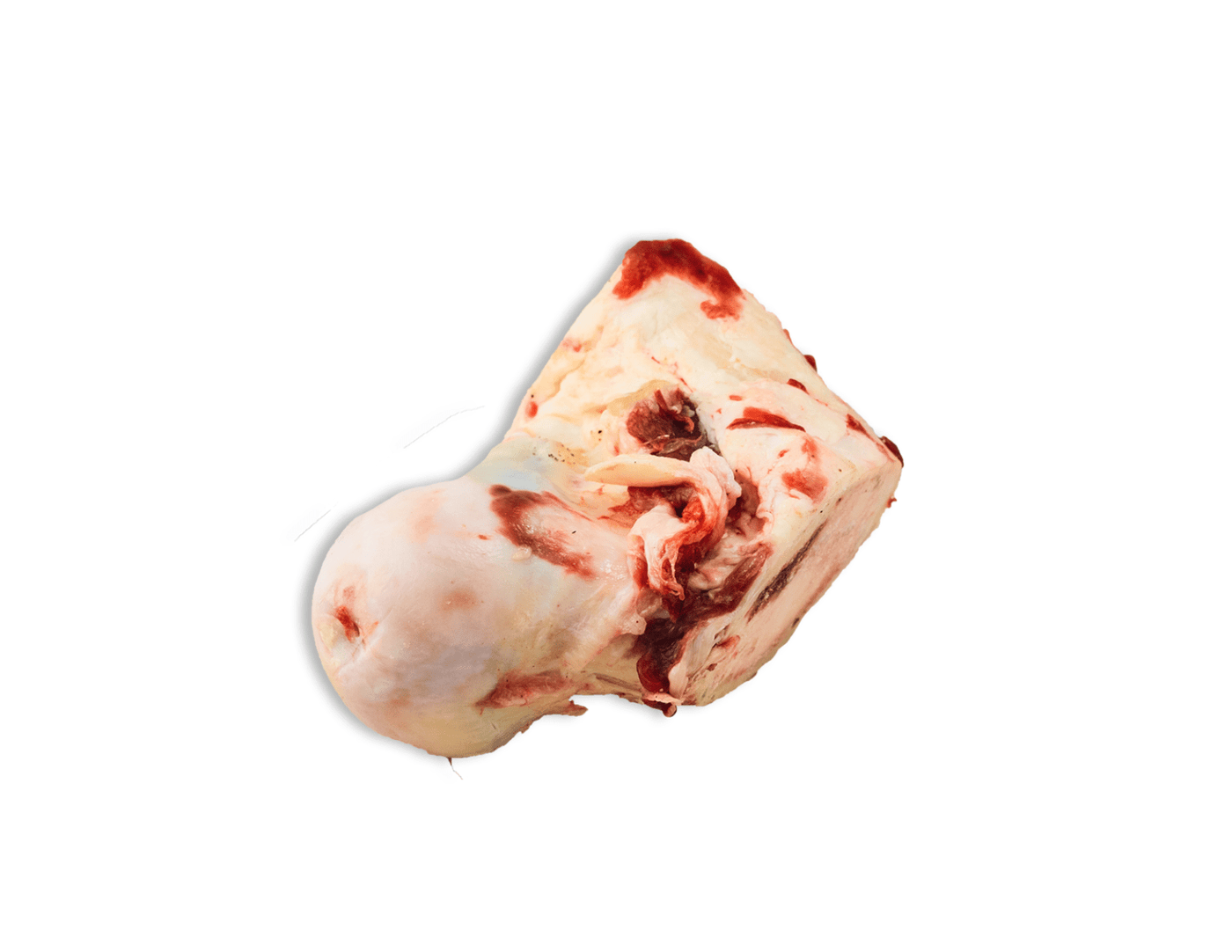 K9 Choice - Beef Knuckle Bones (each), Frozen Dog Chew