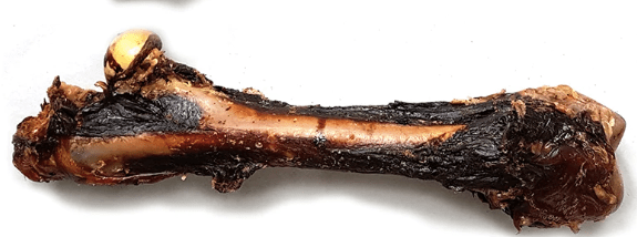 Kangaroo Bone Large - WAG