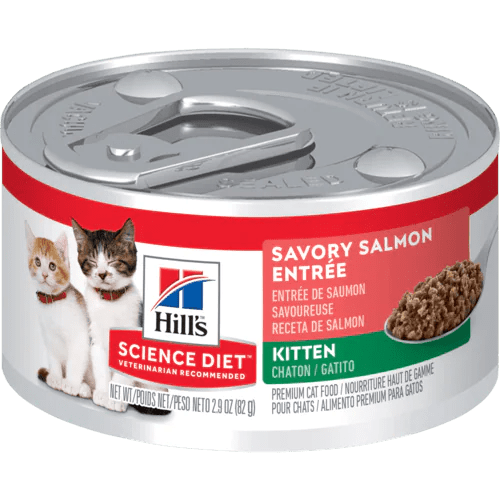 Kitten Savory Salmon Entrée - Wet Cat Food - Hill's Science Diet