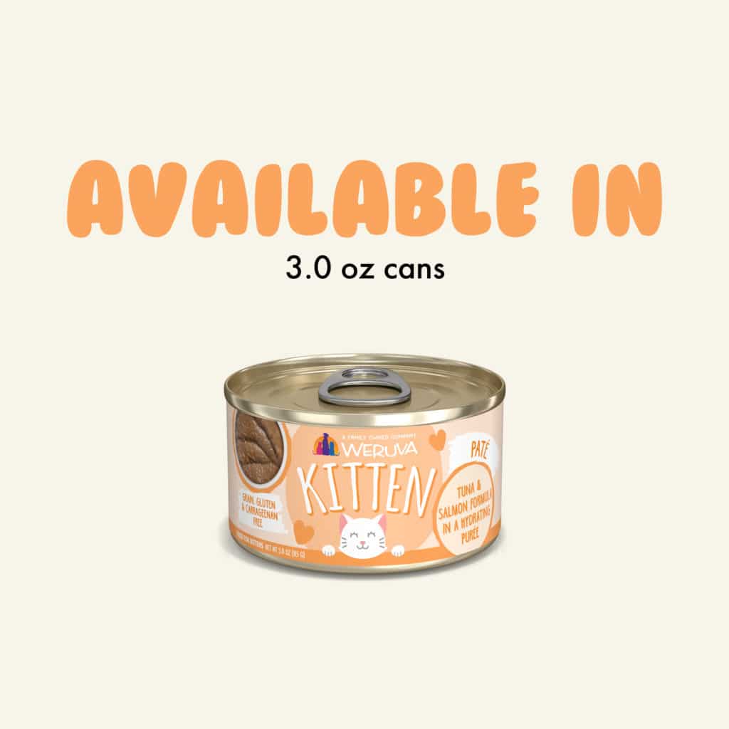 Kitten Tuna & Salmon Formula 3.0 oz can - Weruva - PetToba-Weruva