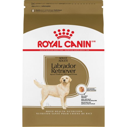 Labrador Retriever Adult - Dry Dog Food - Royal Canin