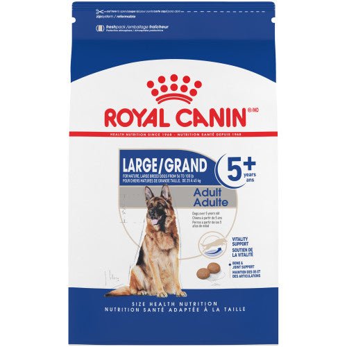 Large Adult 5+ - Dry Dog Food - Royal Canin