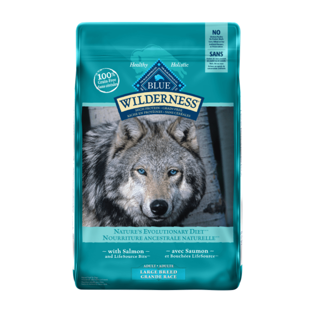 Large Breed Adult Salmon Recipe - Dry Dog food - Blue Buffalo