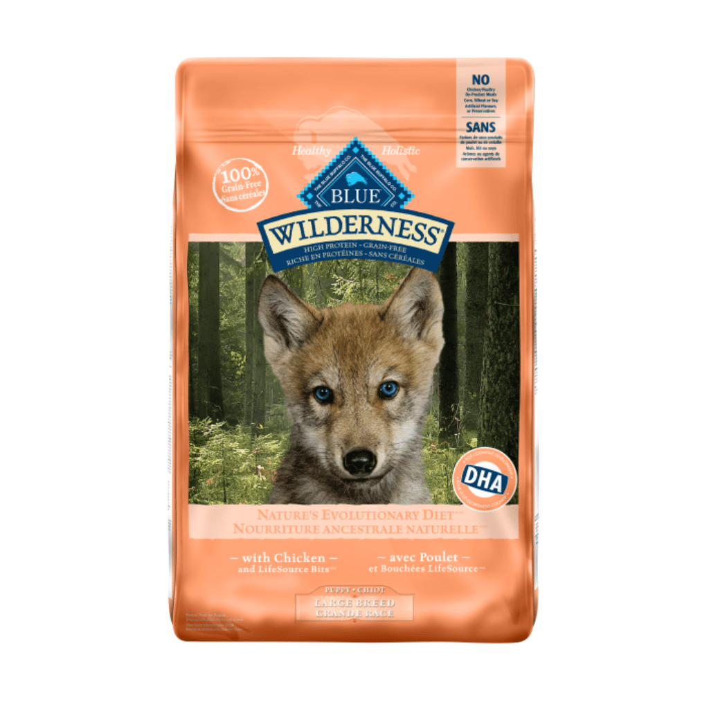 Large Breed Puppy Chicken Recipe - Dry Dog food - Blue Buffalo