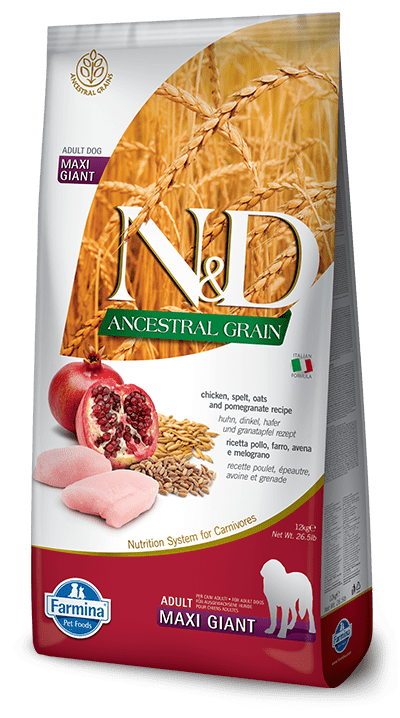 N&D Ancestral Grain Chicken & Pomegranate Adult Maxi Giant - Dry Dog Food - Farmina - PetToba-Farmina