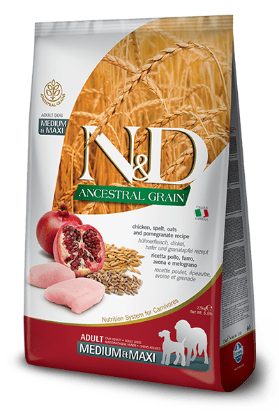 N&D Ancestral Grain Chicken & Pomegranate Adult Medium & Maxi - Dry Dog Food - Farmina