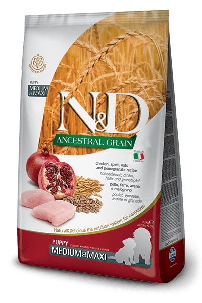 N&D Ancestral Grain Chicken & Pomegranate Puppy Medium & Maxi - Dry Dog Food - Farmina - PetToba-Farmina