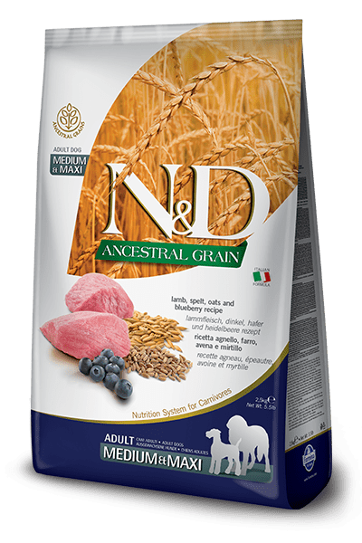 N&D Ancestral Grain Lamb & Blueberry Adult Medium & Maxi - Dry Dog Food - Farmina