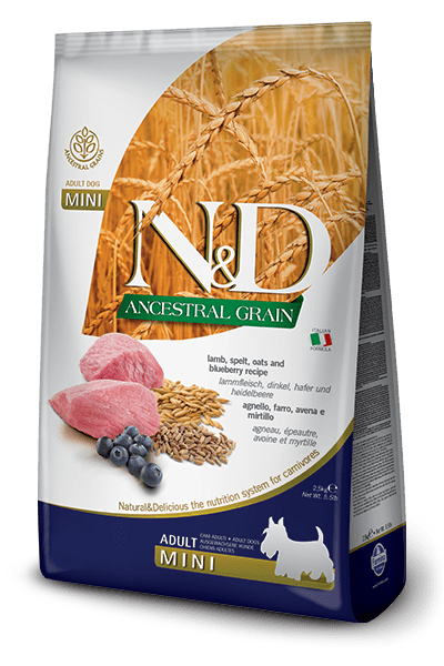 N&D Ancestral Grain Lamb & Blueberry -CLEARANCE - Adult Mini - Dry Dog Food - Farmina - PetToba-Farmina