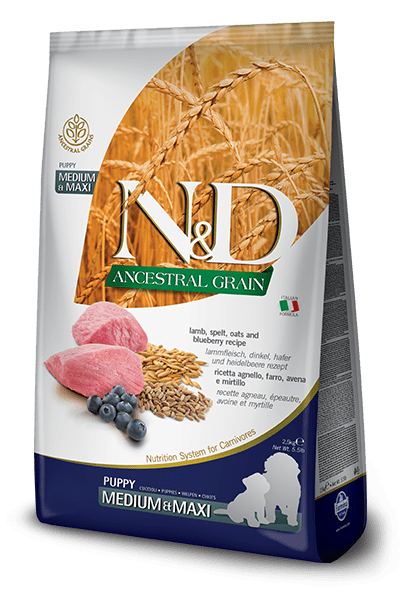 N&D Ancestral Grain Lamb & Blueberry Puppy Medium & Maxi - Dry Dog Food - Farmina