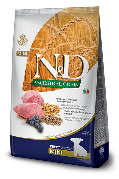 N&D Ancestral Grain Lamb & Blueberry Puppy Mini - Dry Dog Food - Farmina