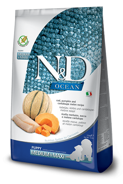 N&D Ocean Cod, Pumpkin And Cantaloupe Melon Puppy Medium & Maxi - Dry Dog Food - Farmina