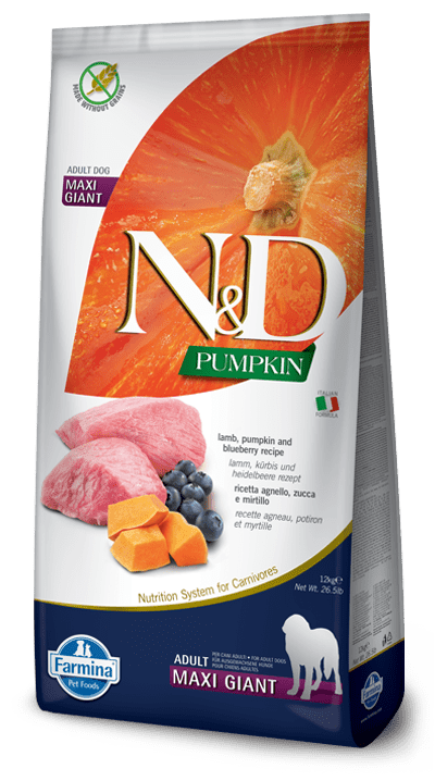 N&D Pumpkin Lamb & Blueberry Adult Maxi Giant - Dry Dog Food - Farmina - PetToba-Farmina