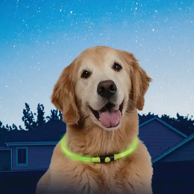 Nitehowl® Led Safety Necklace - Safety Necklace - Nite Ize - PetToba-Nite Ize