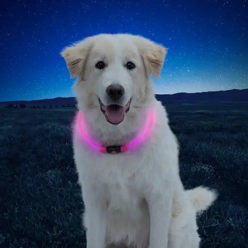 Nitehowl Led Safety Necklace Safety Necklace Nite Ize PetToba