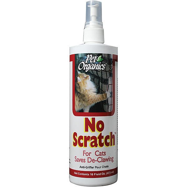No Scratch Cat 16OZ Pet Organics – PetToba - Main Image