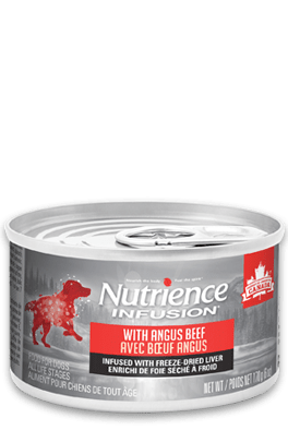 Nutrience Infusion Pâté with Canadian Angus Beef – Wet Dog Food-Nutrience - PetToba-Nutrience