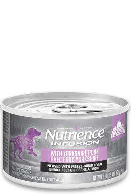 Nutrience Infusion Pâté with Yorkshire Pork – Wet Dog Food-Nutrience