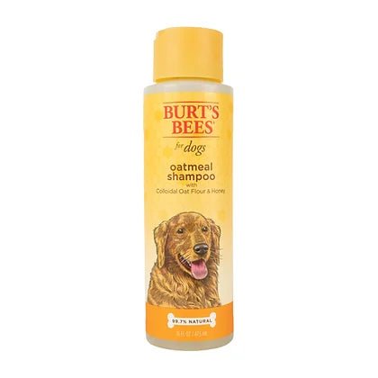 Oatmeal Shampoo with Colloidal Oat Flour and Honey- Burt’s Bees