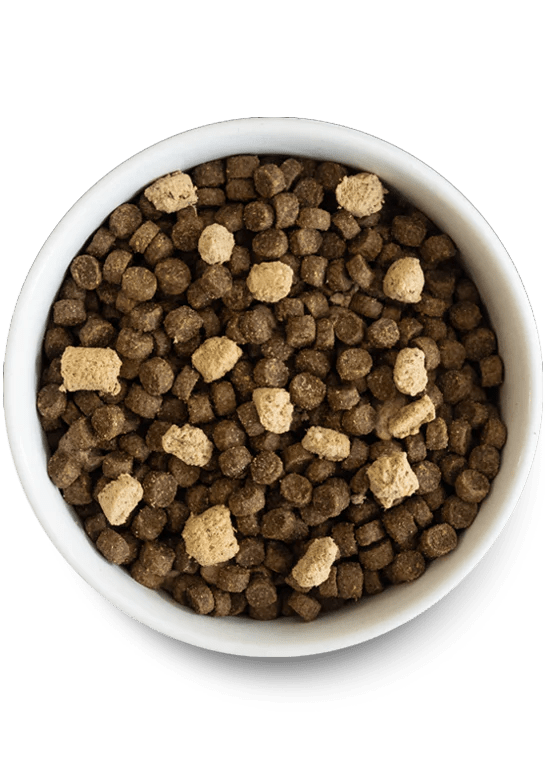 Open Prairie Grain-Free RawMix - Dry Dog Food - Open Farm - PetToba-Open Farm