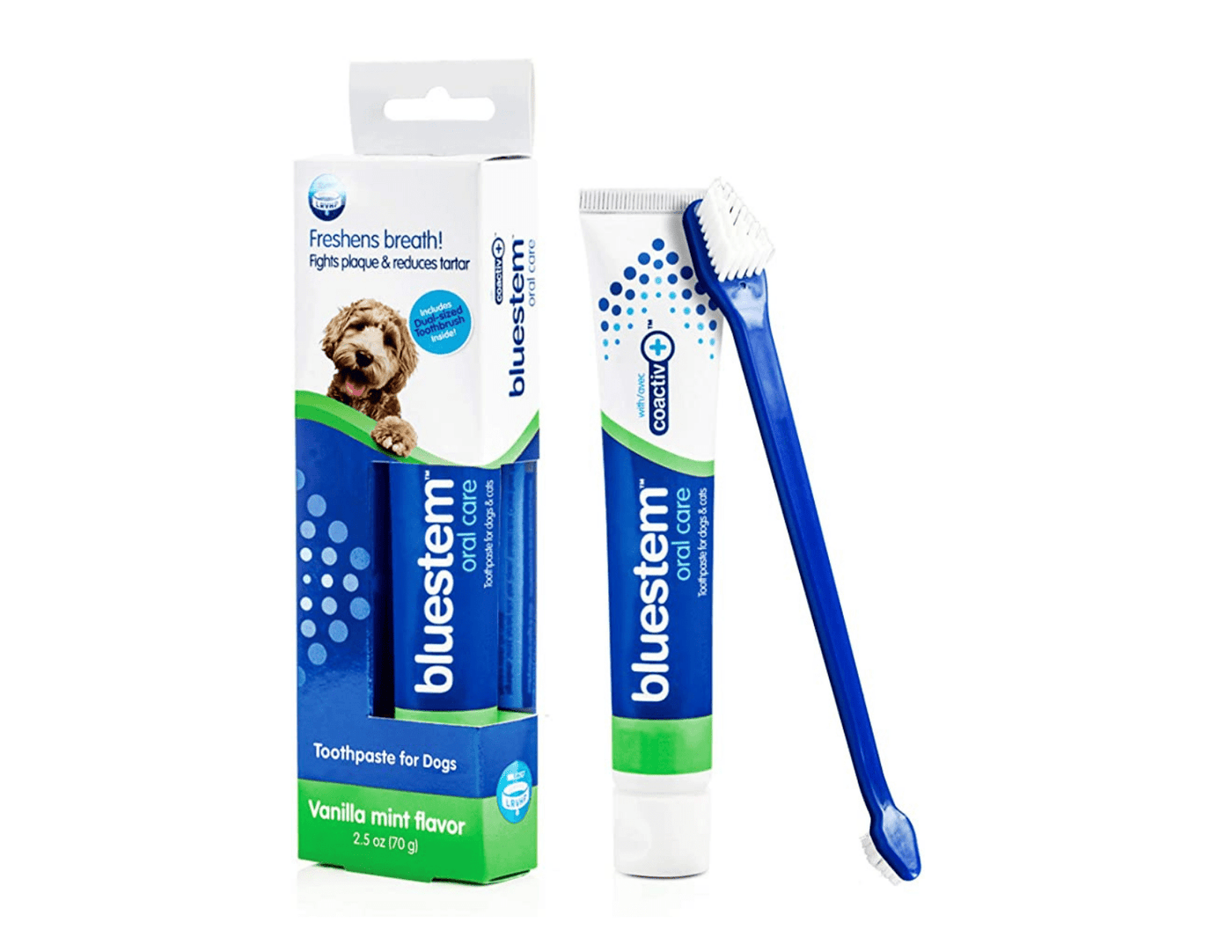 Oral Care Vanilla Mint Flavour Toothbrush & Toothpaste Combo - Bluestem