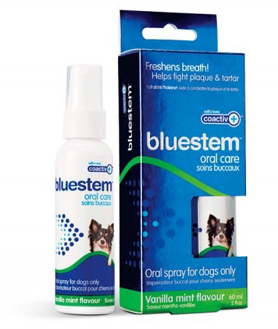 Oral Spray Vanilla-Mint - bluestem - PetToba-Bluestem