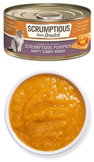Pumpkin - Scrumptious Pumpkin Puree - Wet Cat /Dog Topper- Scrumptious