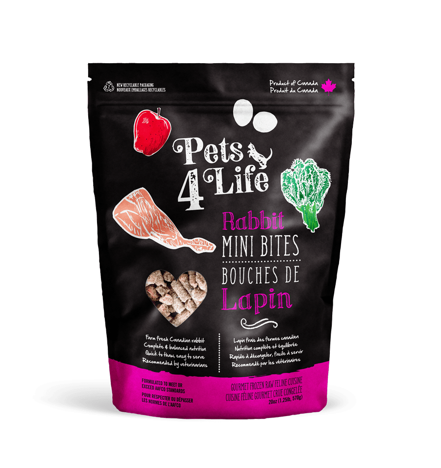 Frozen Raw Cat Food – PetToba