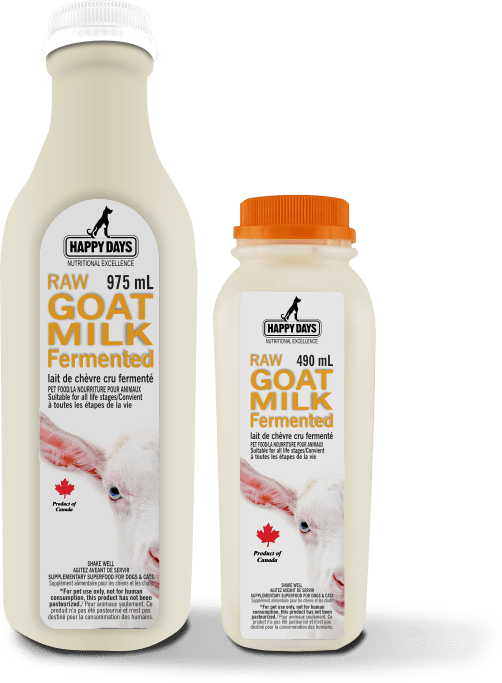 Raw Fermented Goat Milk - Happy Days