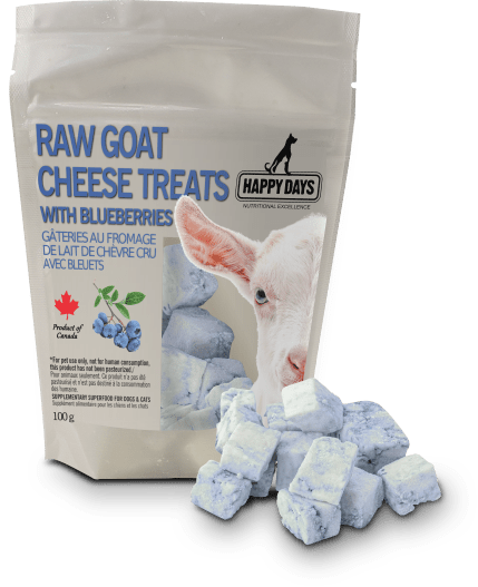 Raw Goat Cheese Treats with Blueberries - Happy Days - PetToba-Happy Days