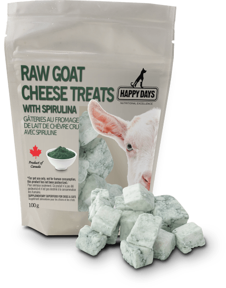 Raw Goat Cheese Treats with Spirulina - Happy Days - PetToba-Happy Days