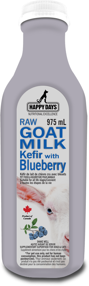 Raw Goat Kefir with Blueberry - Happy Days