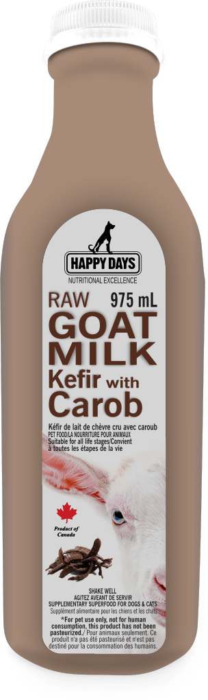 Raw Goat Milk Kefir with Carob - Happy Days