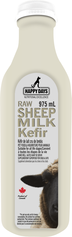 Raw Sheep Milk Kefir - Happy Days - PetToba-Happy Days