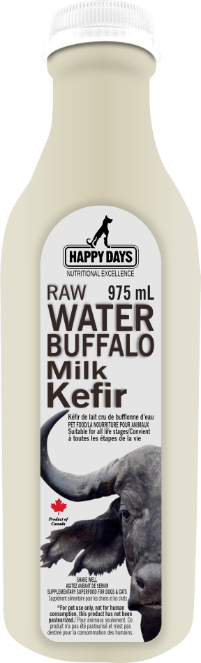Raw Water Buffalo Milk Kefir - Happy Days