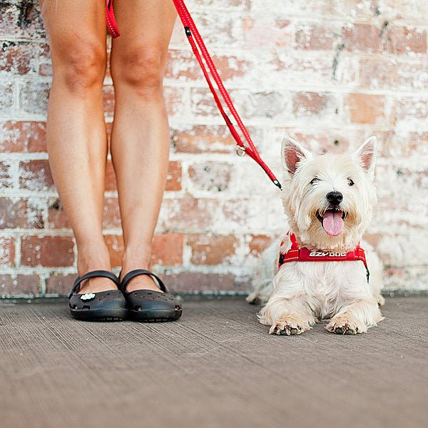 Red Quick Fit Dog Harness - Dog Harness - Ezydog - PetToba-PetToba