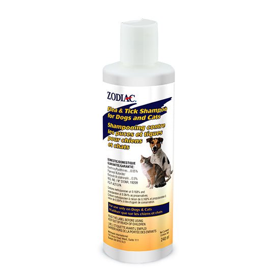 Regular Flea Shampoo 240 ml - Dogs & Cats - Zodiac