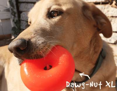 RuffDawg Dawg-Nut - PetToba-RuffDawg