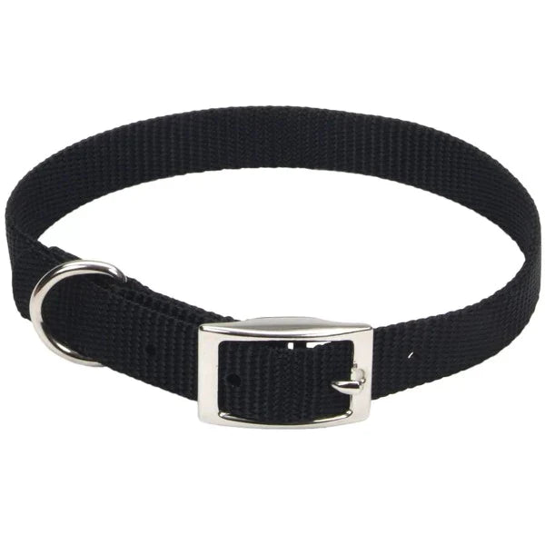 Single-Ply Dog Collar - Dog Collars - Coastal - PetToba-Coastal