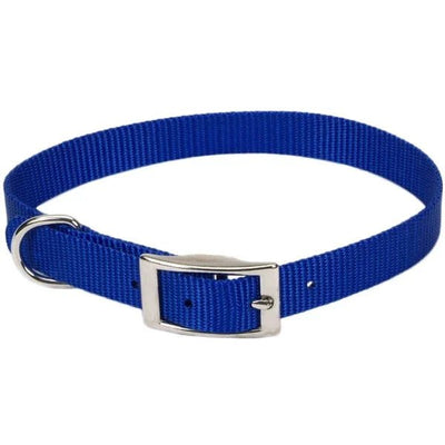 Single-Ply Dog Collar - Dog Collars - Coastal - PetToba-Coastal
