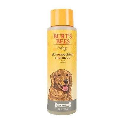 Skin Soothing Shampoo with Honey - Burt’s Bees