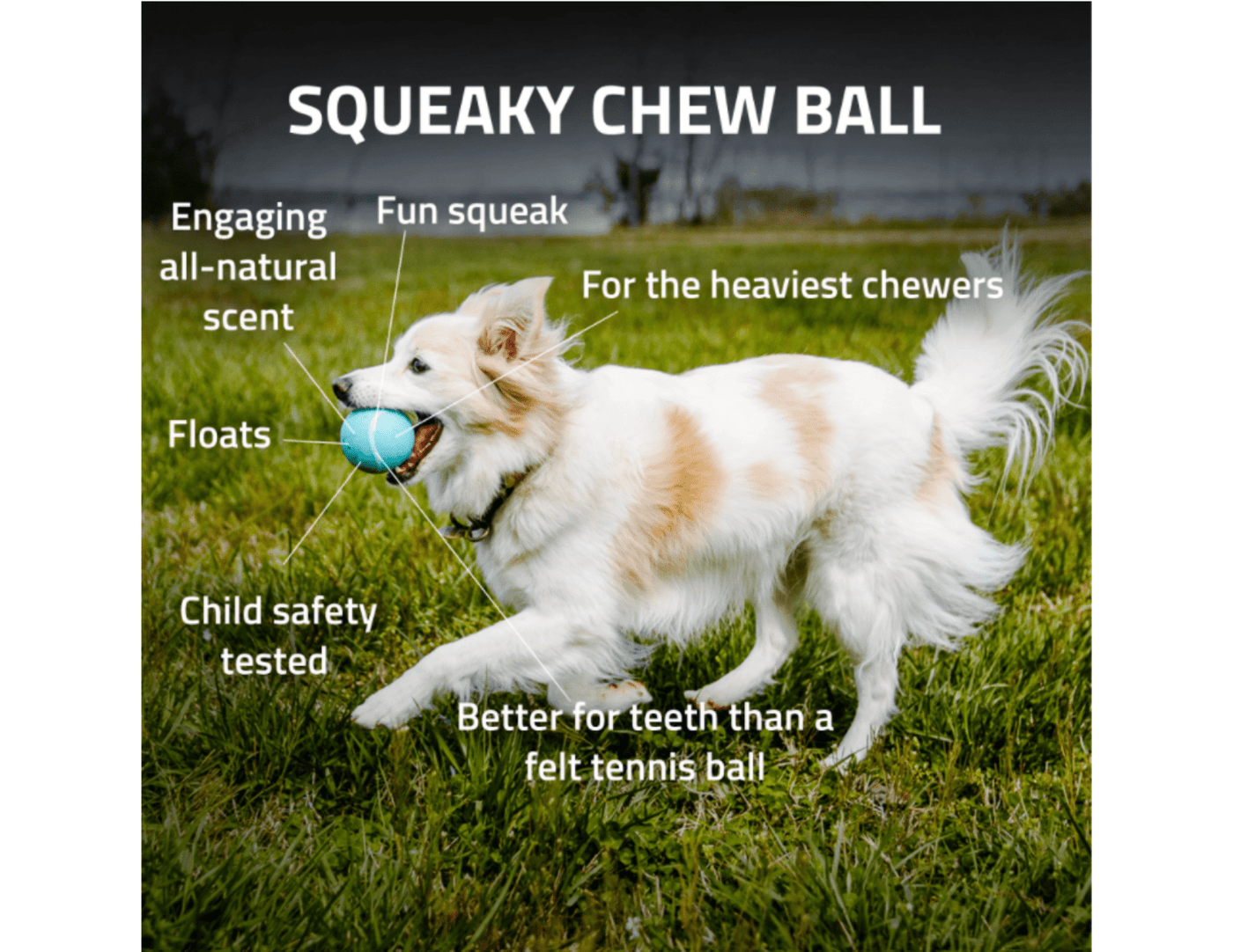 Squeaky Chew Ball - Playology Medium - PetToba-Playology