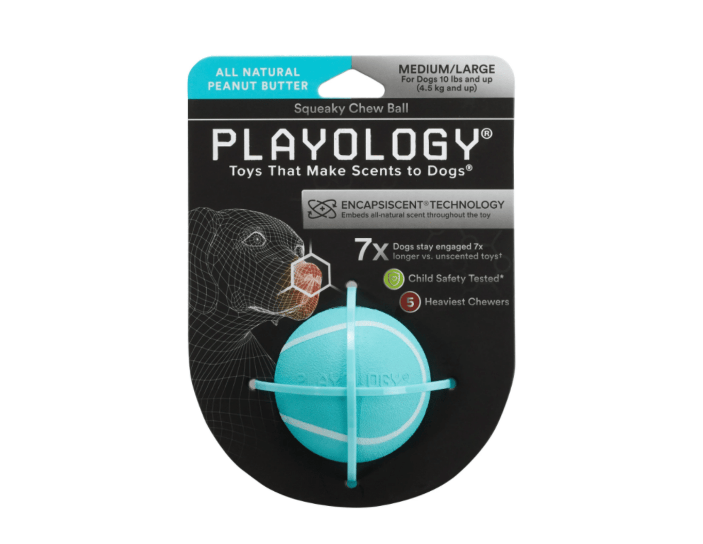 Squeaky Chew Ball - Playology Medium - PetToba-Playology